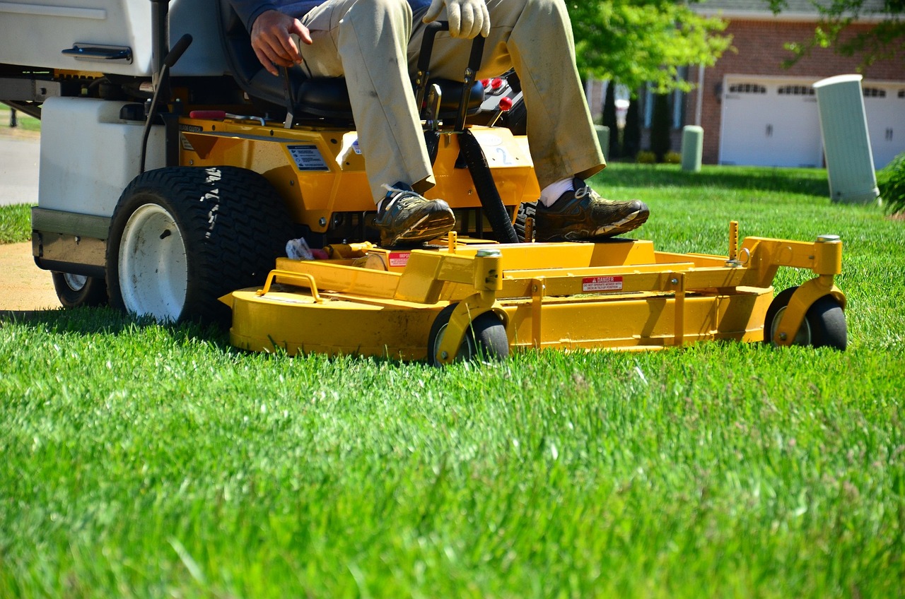 lawn care, lawn maintenance, lawn services